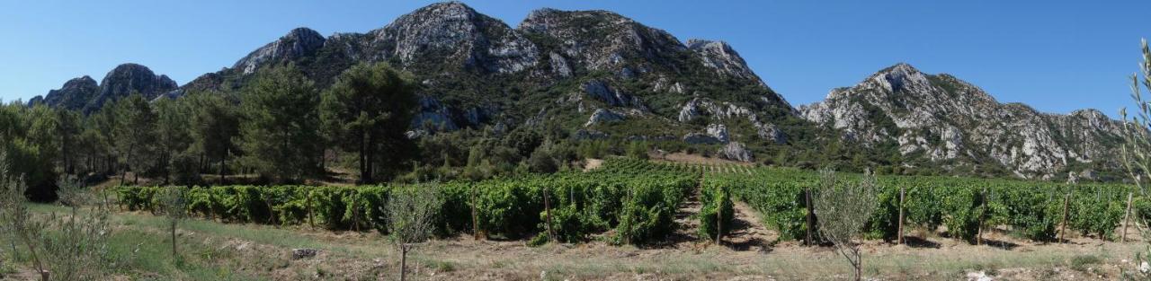 Les Lavandins-Gite Frederic Saint-Rémy-de-Provence Εξωτερικό φωτογραφία