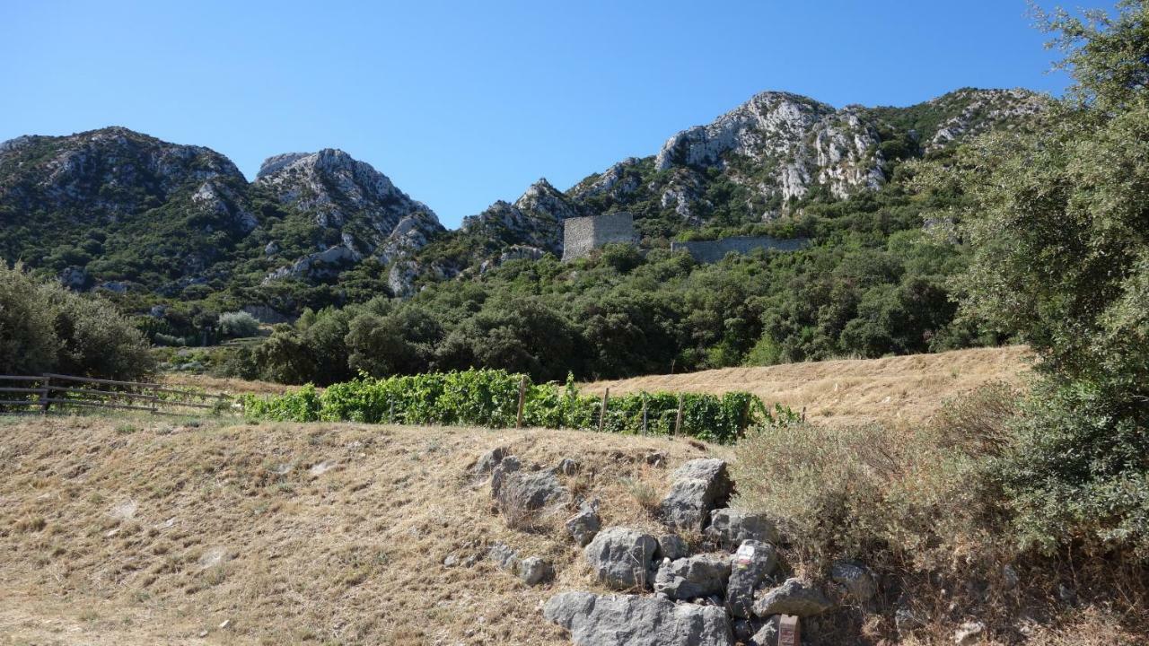Les Lavandins-Gite Frederic Saint-Rémy-de-Provence Εξωτερικό φωτογραφία