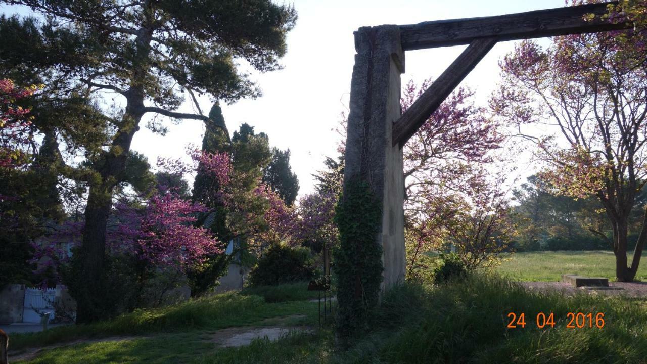 Les Lavandins-Gite Frederic Saint-Rémy-de-Provence Εξωτερικό φωτογραφία